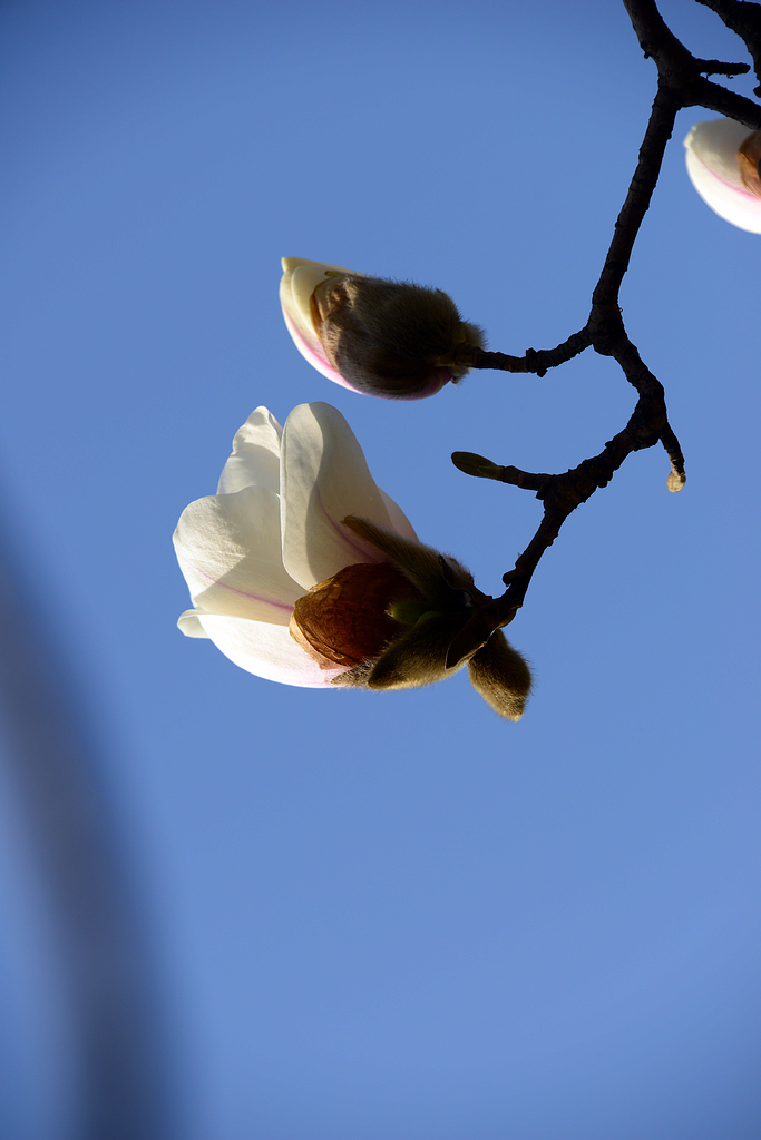 DSC_8035.JPG