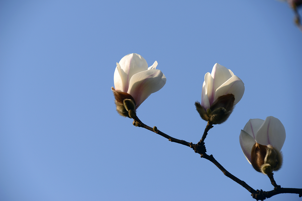 DSC_8019.JPG