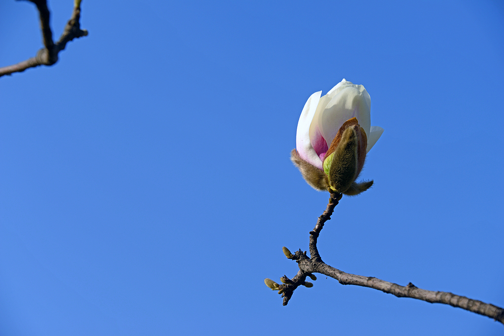 DSC_8039.JPG