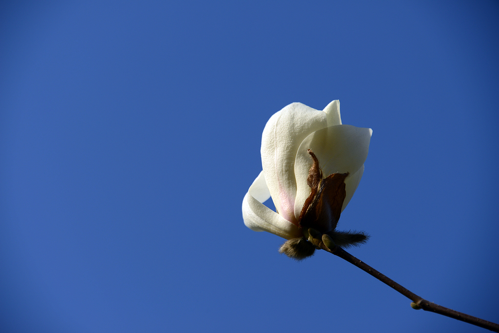 DSC_8047.JPG
