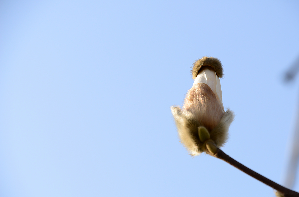DSC_8051.JPG