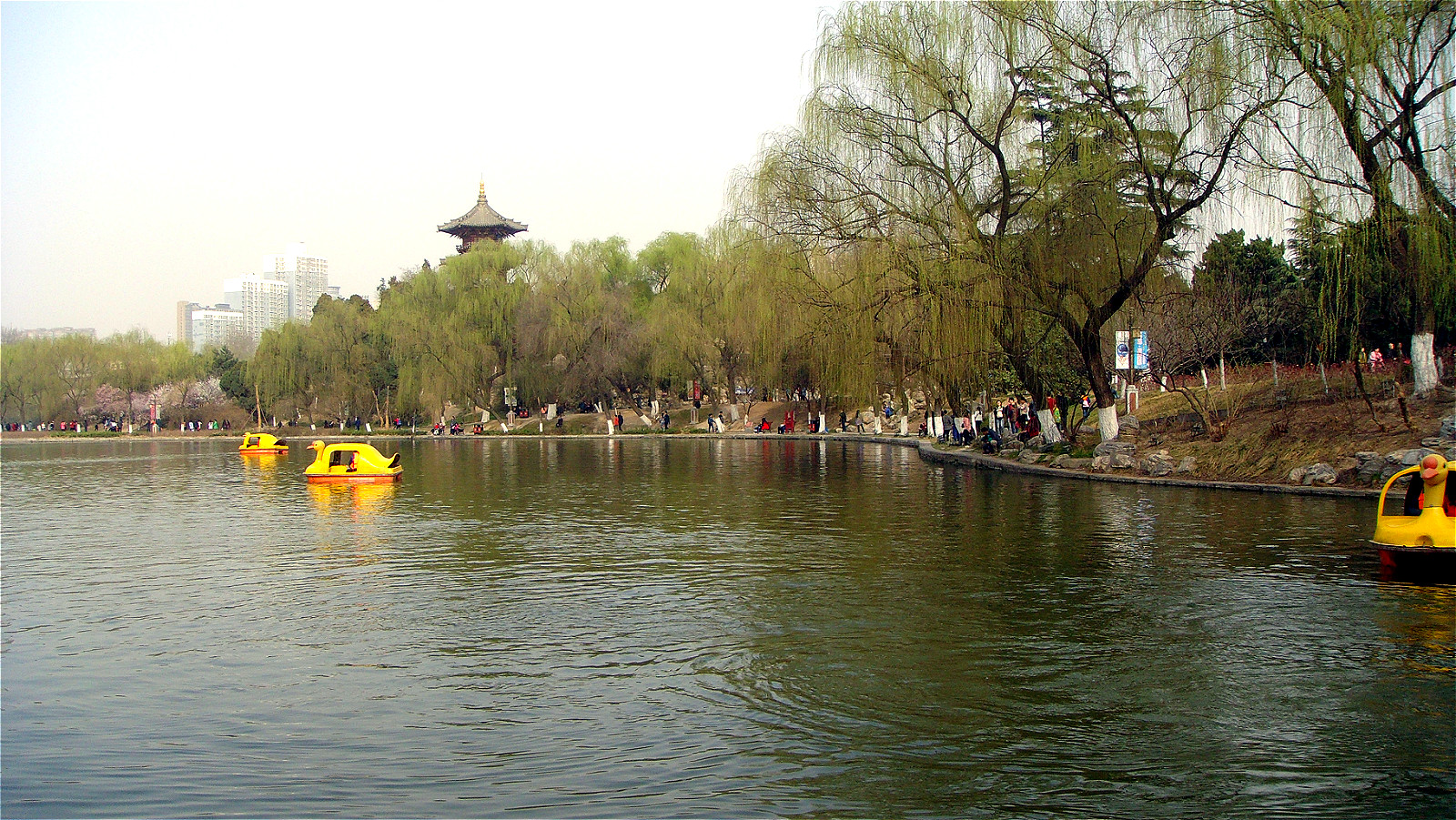 DSC06494_meitu_89.jpg