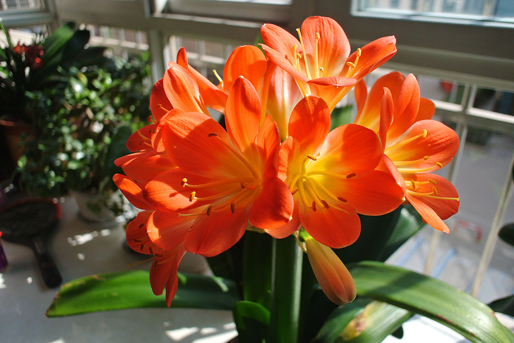 DSC_6668副本.jpg