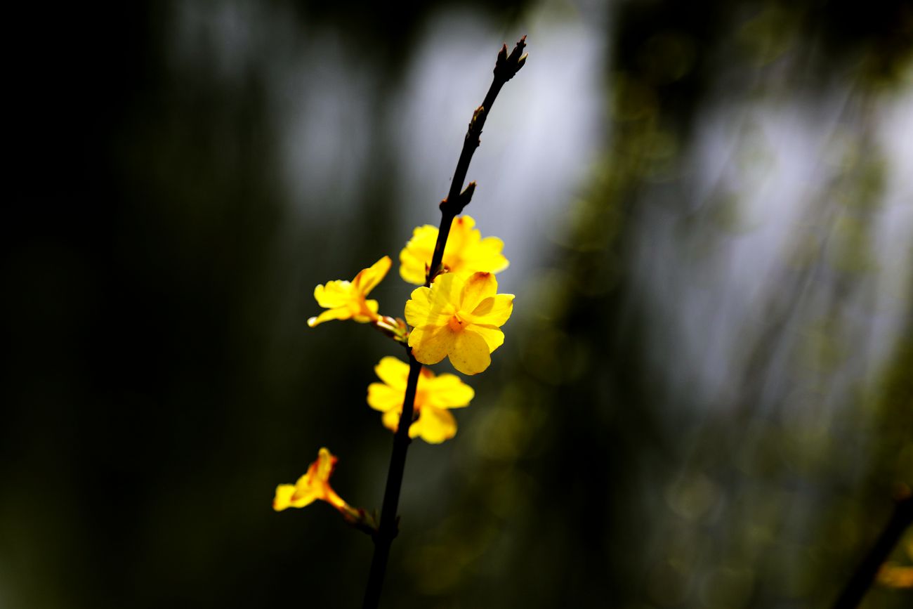 IMG_2158_副本.jpg