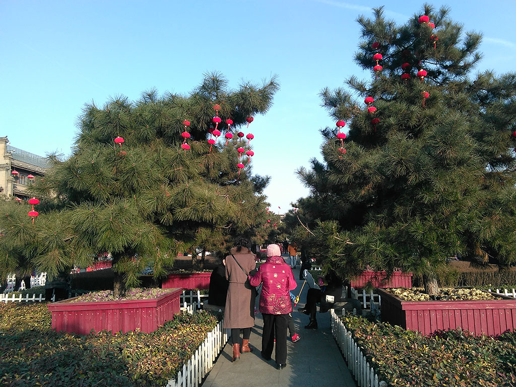 IMG_20160215_165942副本.jpg