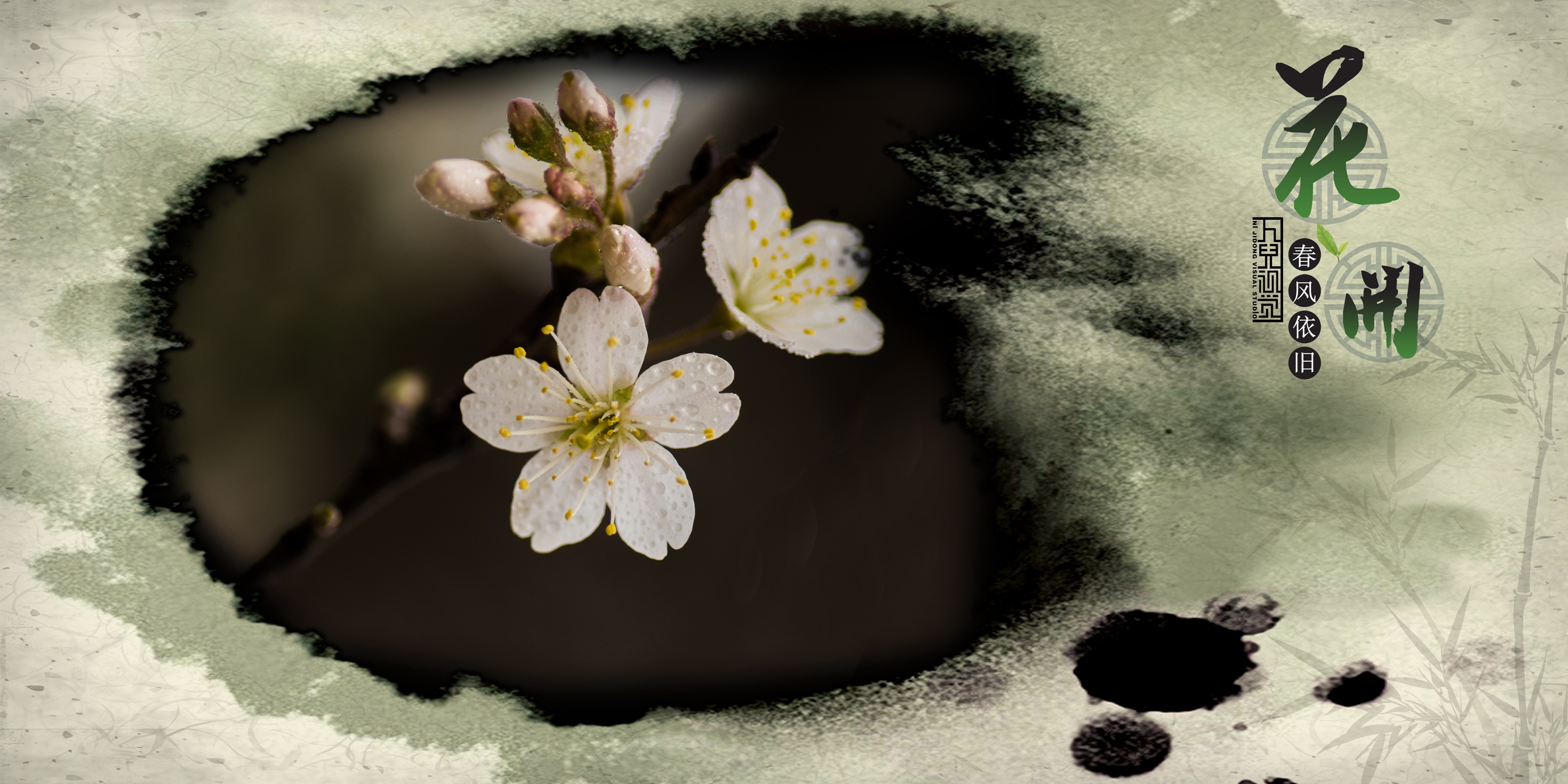 三月花开 (02).jpg