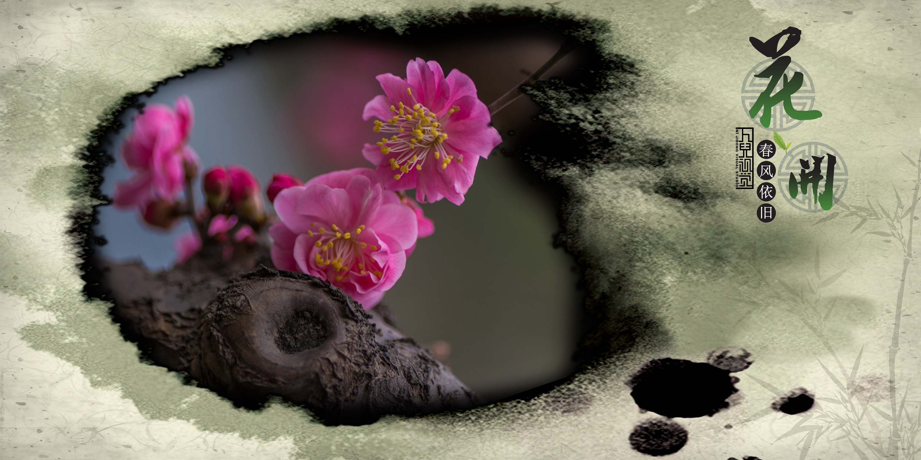 三月花开 (06).jpg