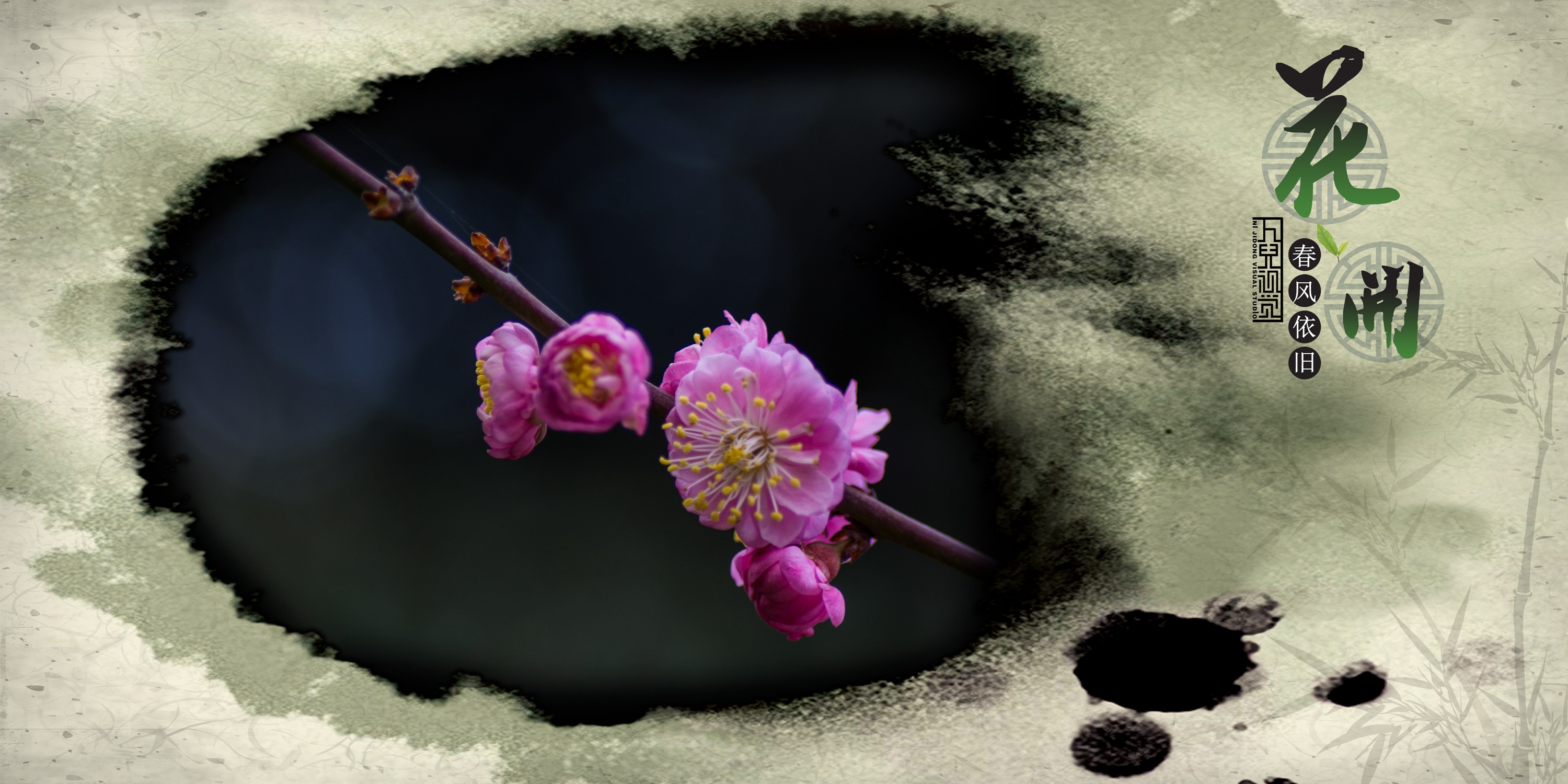 三月花开 (09).jpg
