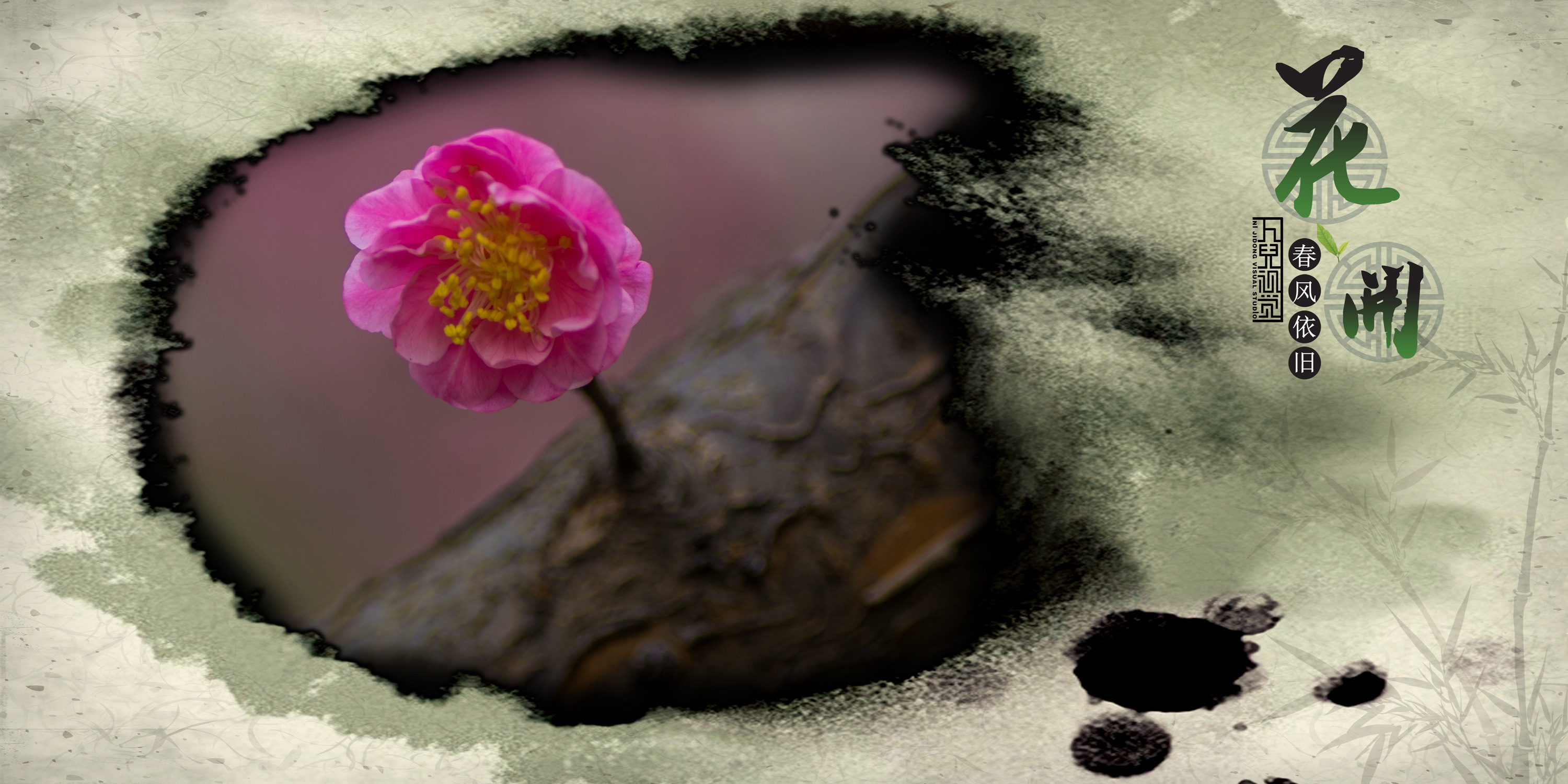 三月花开 (11).jpg