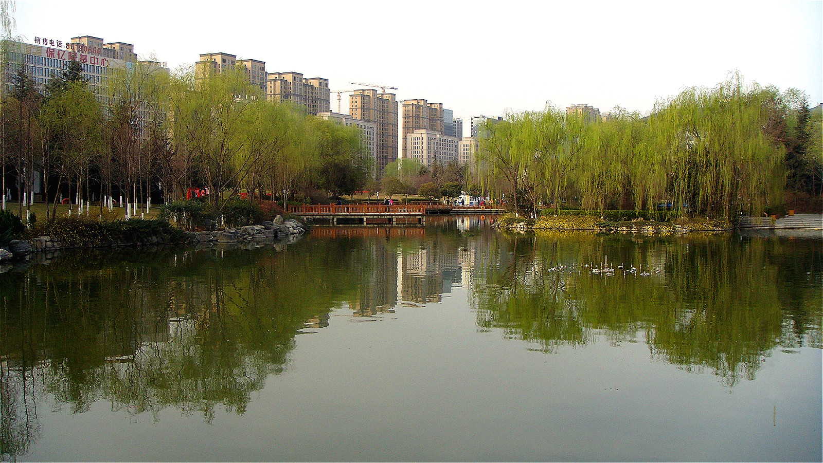 DSC07029_meitu_6.jpg