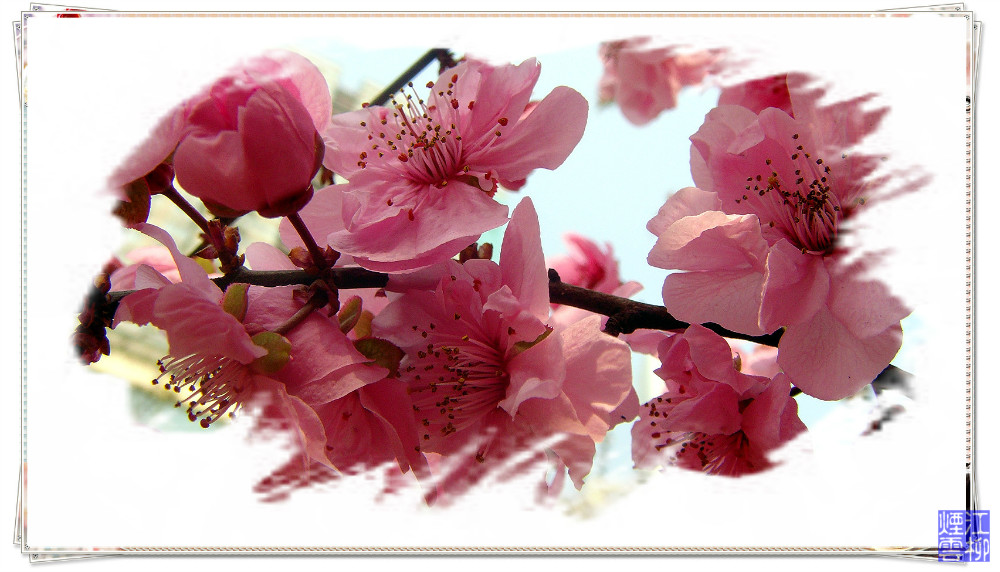 DSC07331_meitu_21.jpg