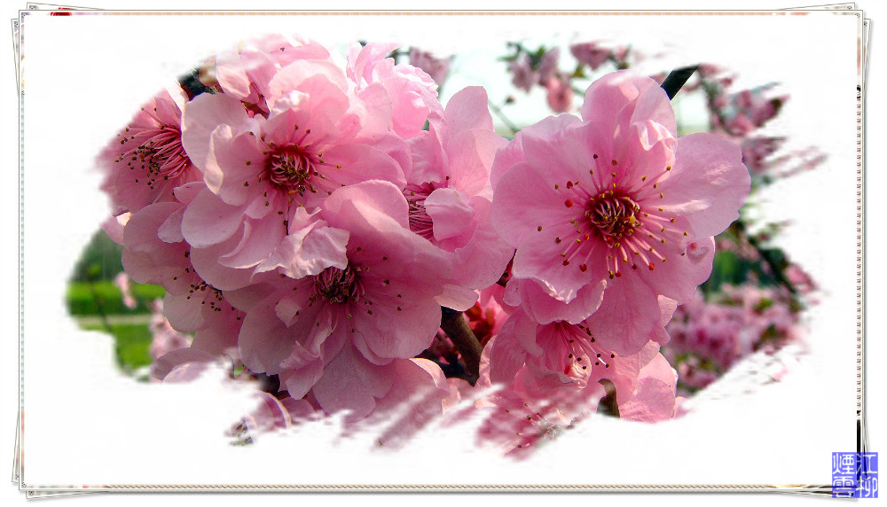 DSC07364_meitu_48.jpg