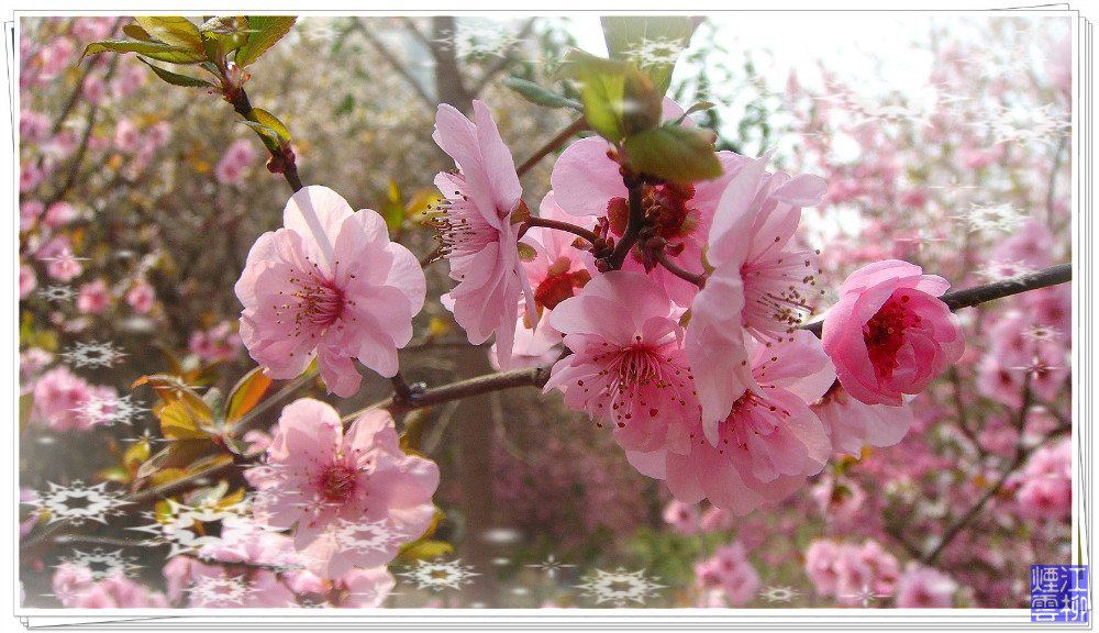 DSC07383_meitu_63.jpg