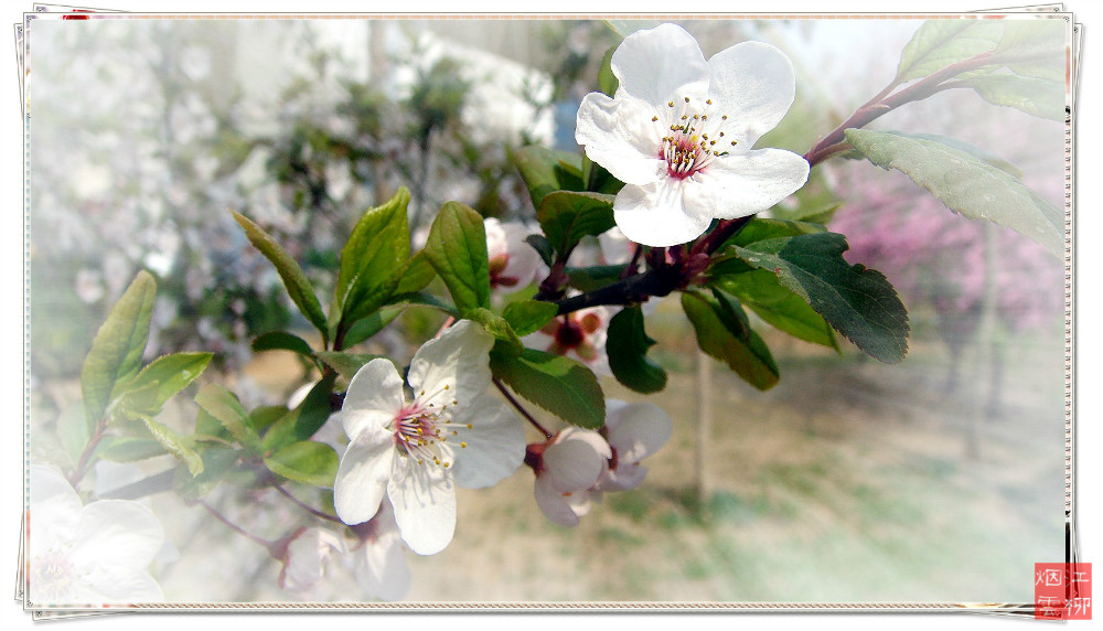 DSC07407_meitu_85.jpg