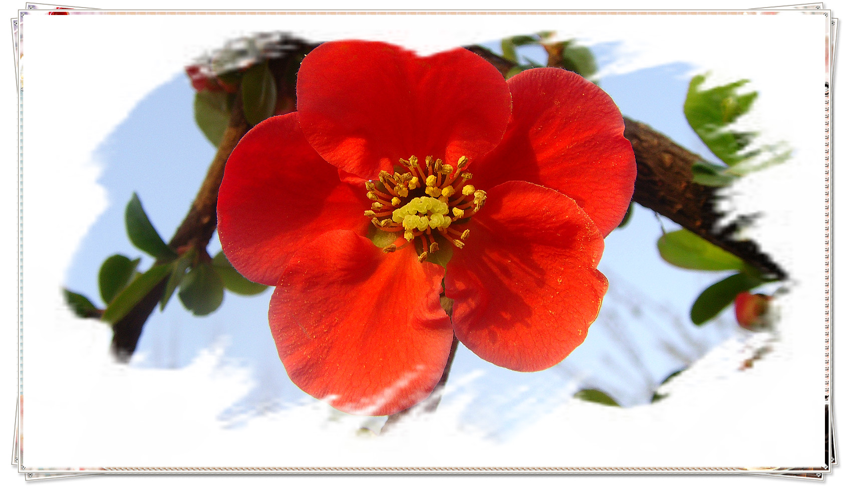 DSC07637_meitu_26.jpg