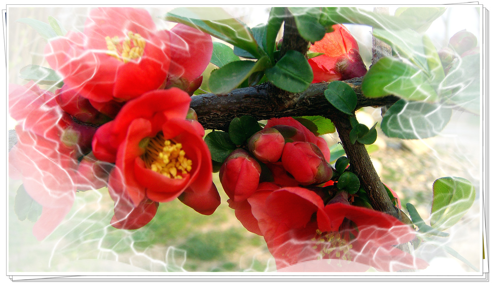 DSC07642_meitu_31.jpg