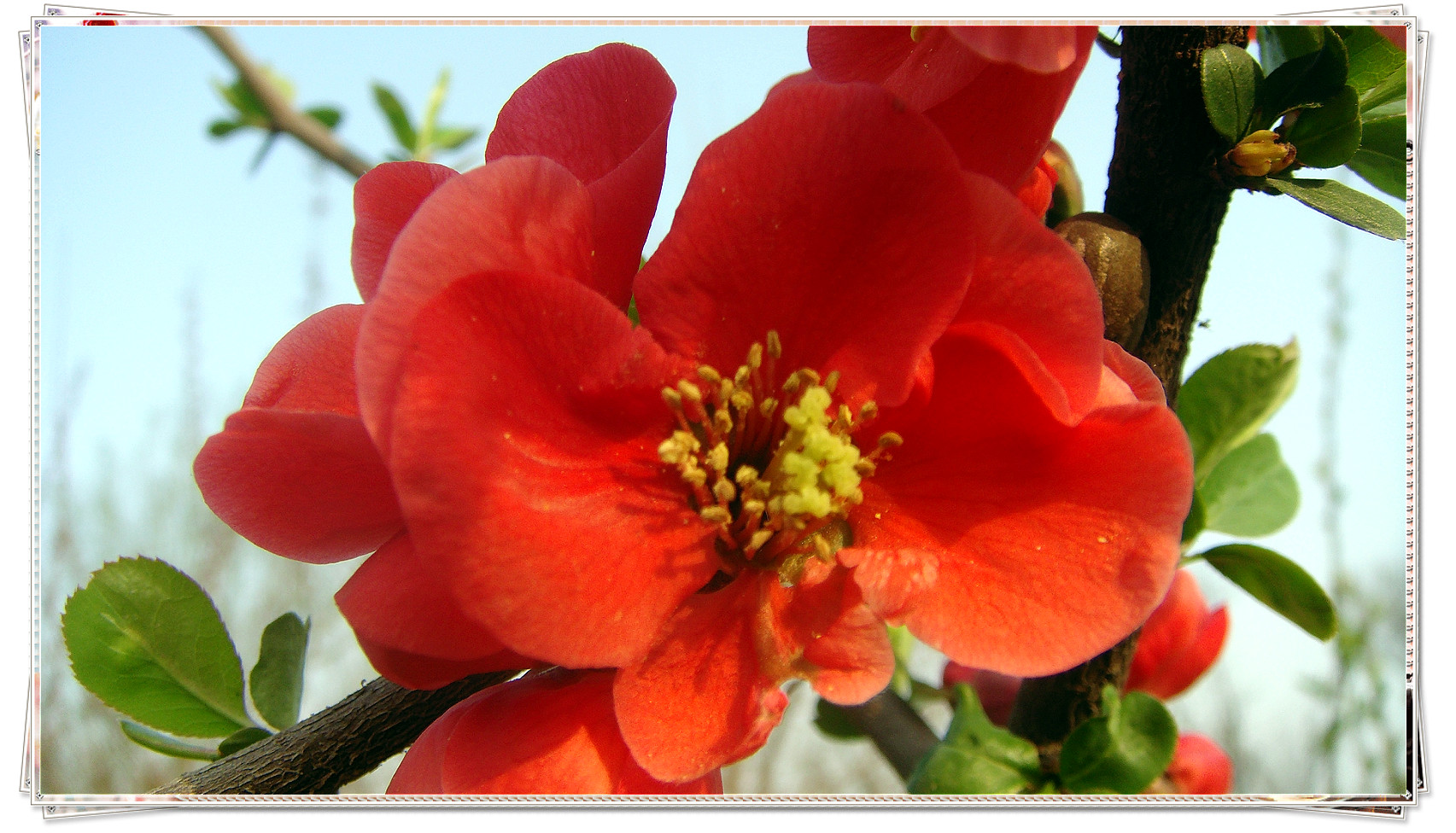 DSC07653_meitu_34.jpg