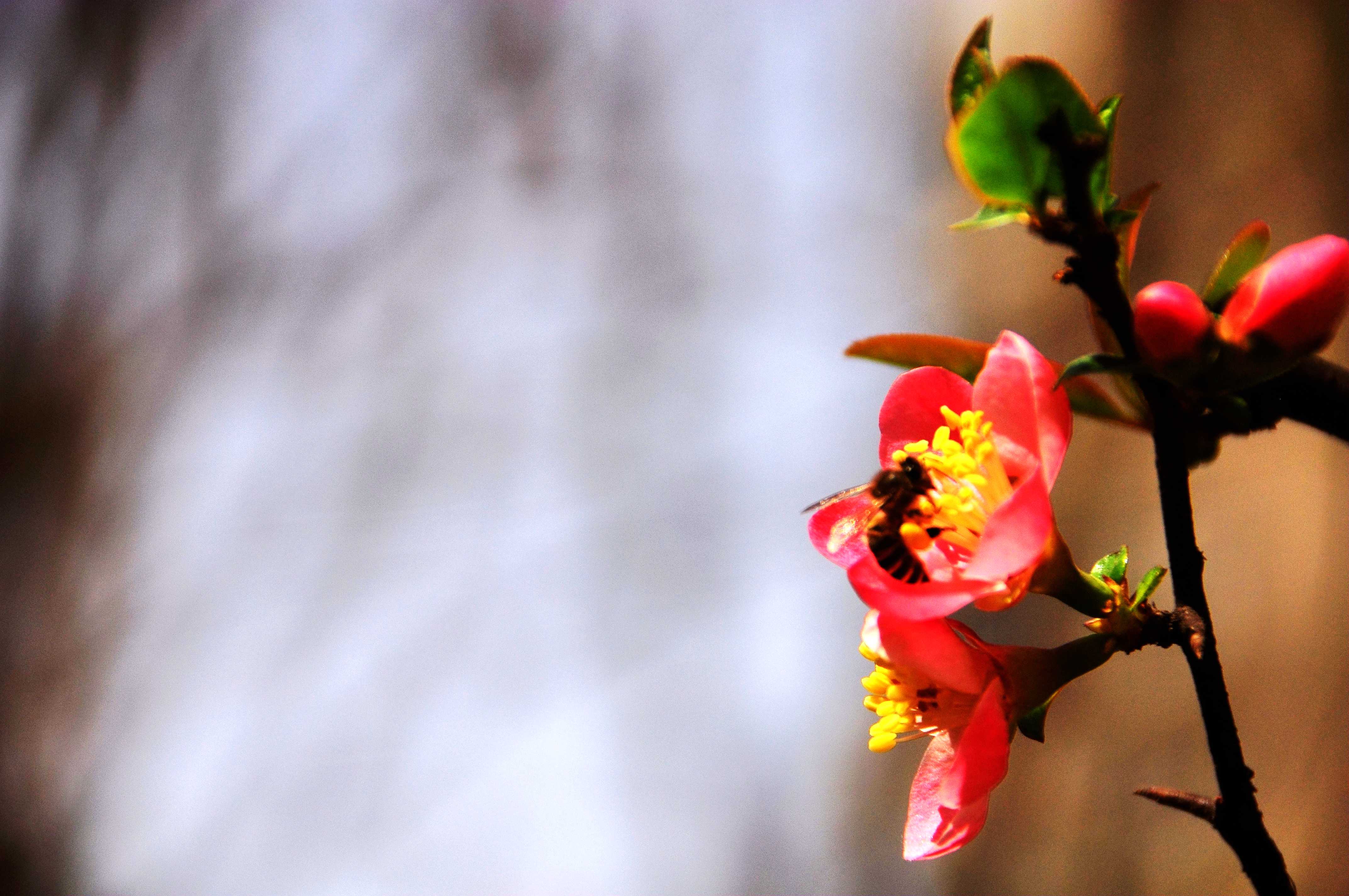 DSC_0209.JPG