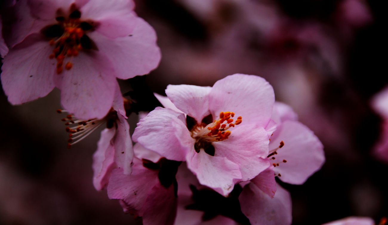IMG_2981_副本.jpg