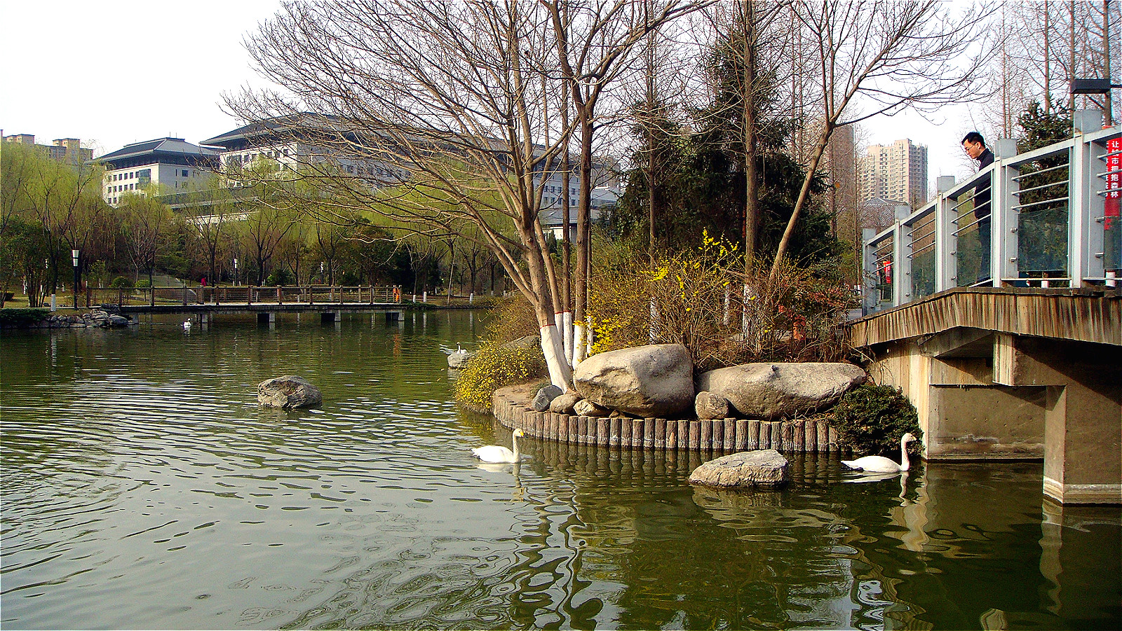 DSC07064_meitu_28.jpg
