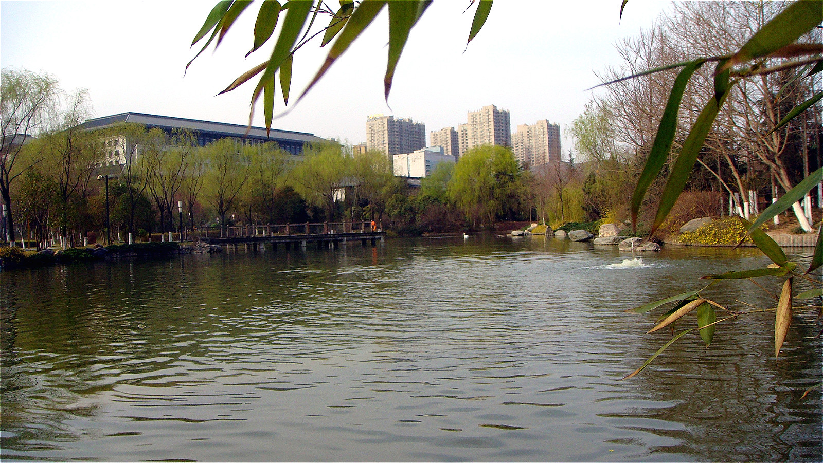 DSC07066_meitu_30.jpg