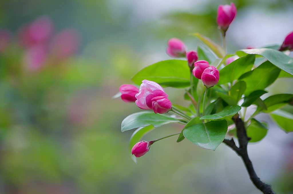 20160325-20160325_IMGP036IMGP-2.jpg