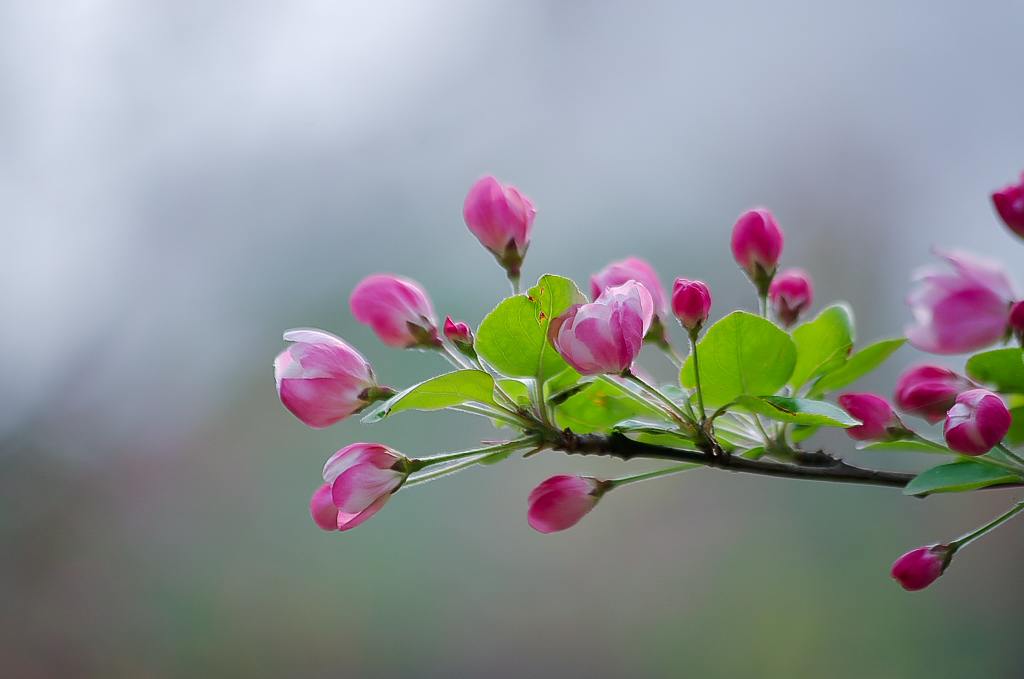 20160325-20160325_IMGP050IMGP.jpg