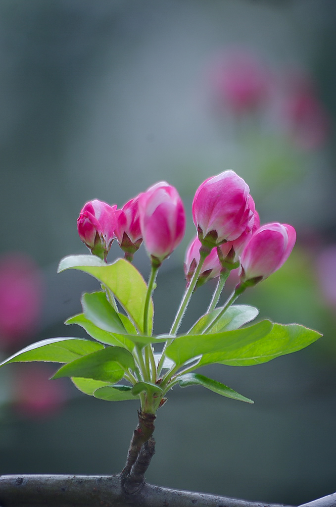 20160325-20160325_IMGP056IMGP.jpg