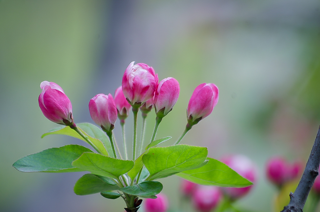 20160325-20160325_IMGP060IMGP.jpg