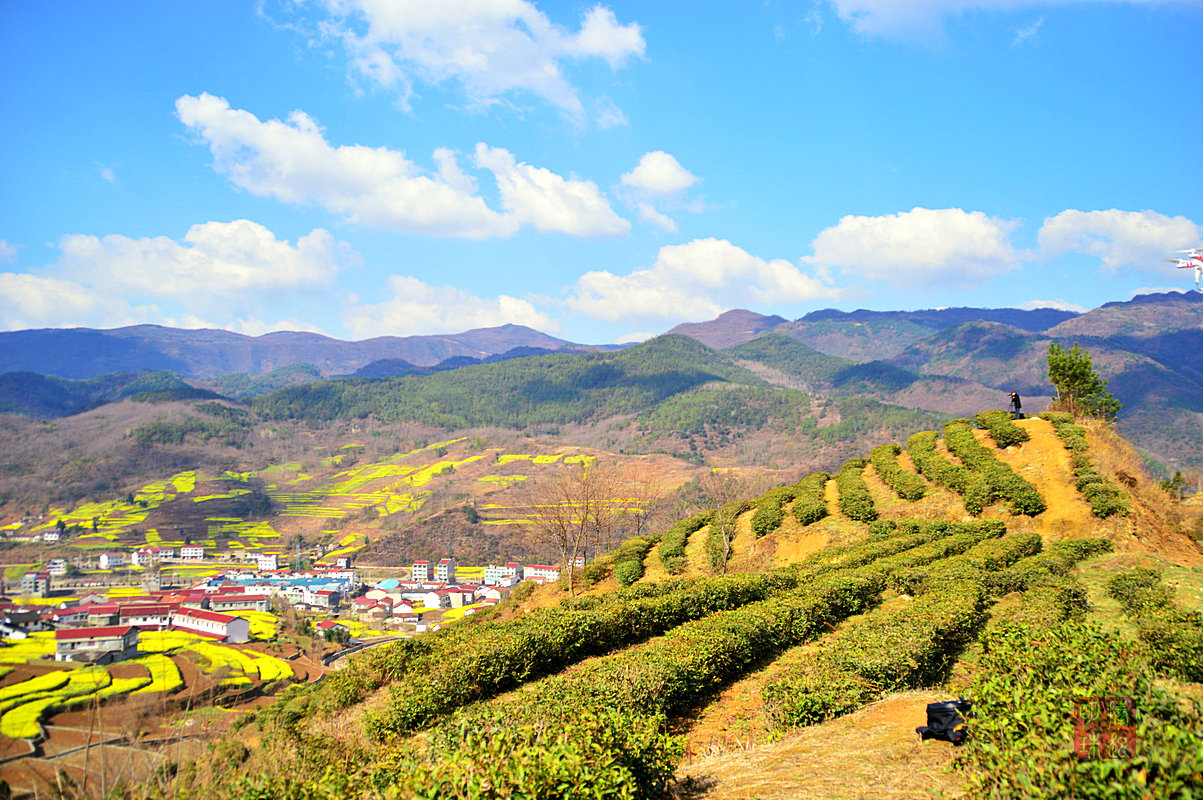 DSC_3674_副本.jpg