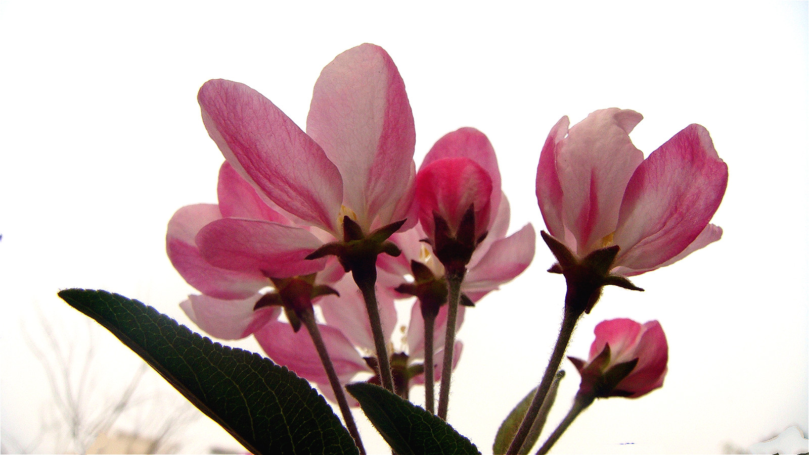 DSC07912_meitu_15.jpg
