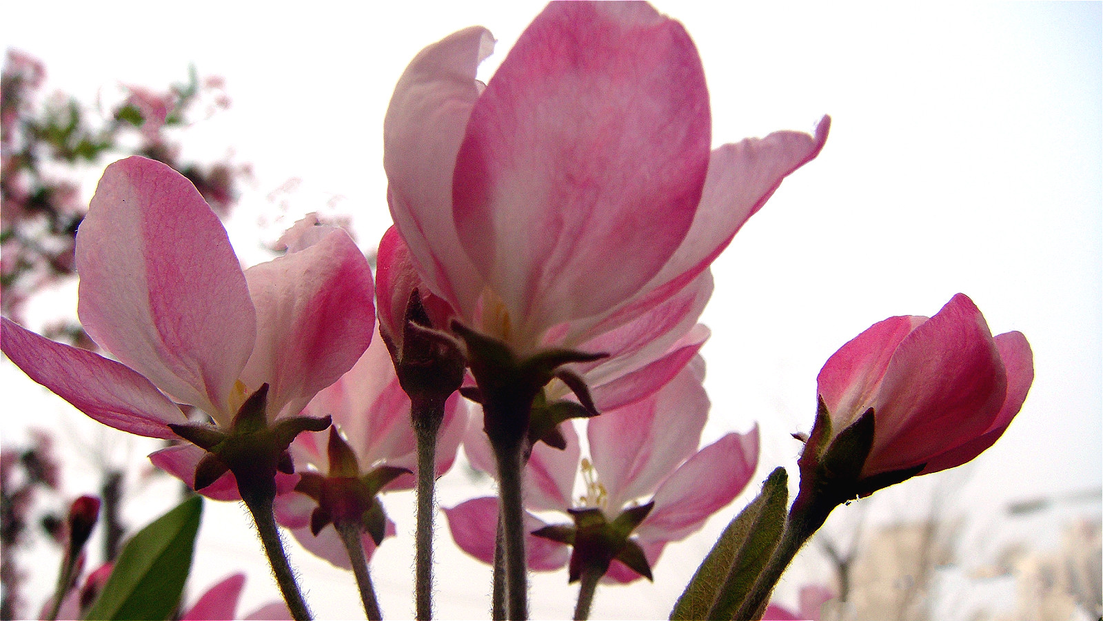 DSC07911_meitu_14.jpg