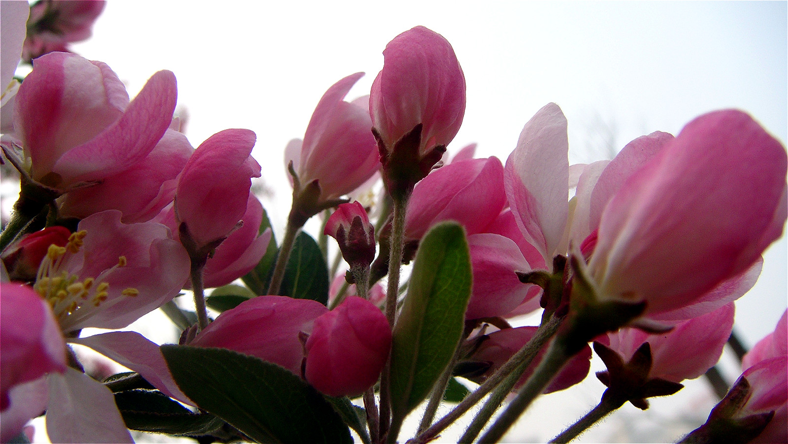 DSC07934_meitu_5.jpg