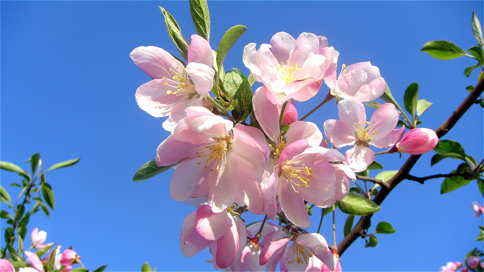 DSC08737_meitu_43.jpg
