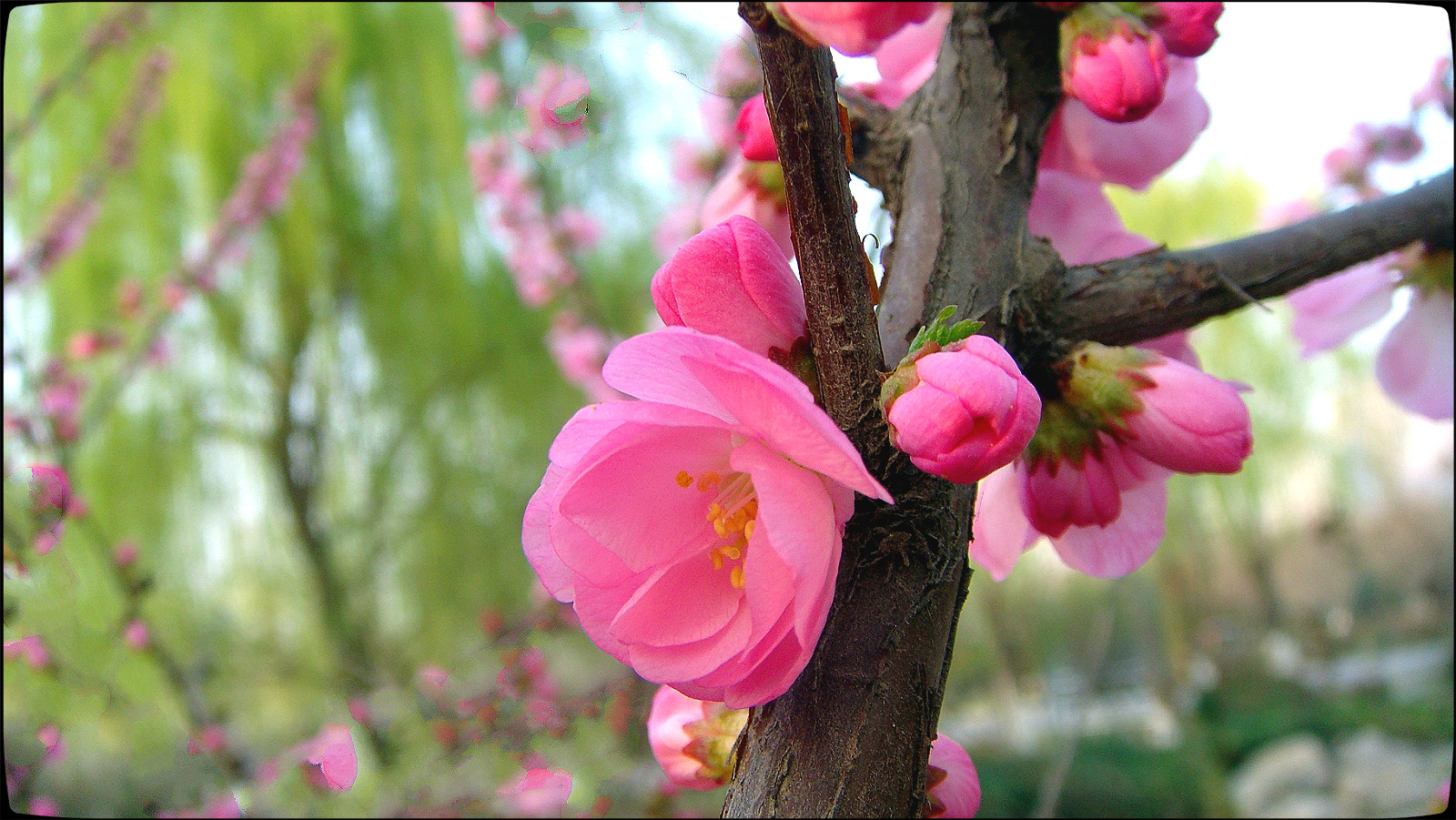 DSC07611_meitu_42.jpg