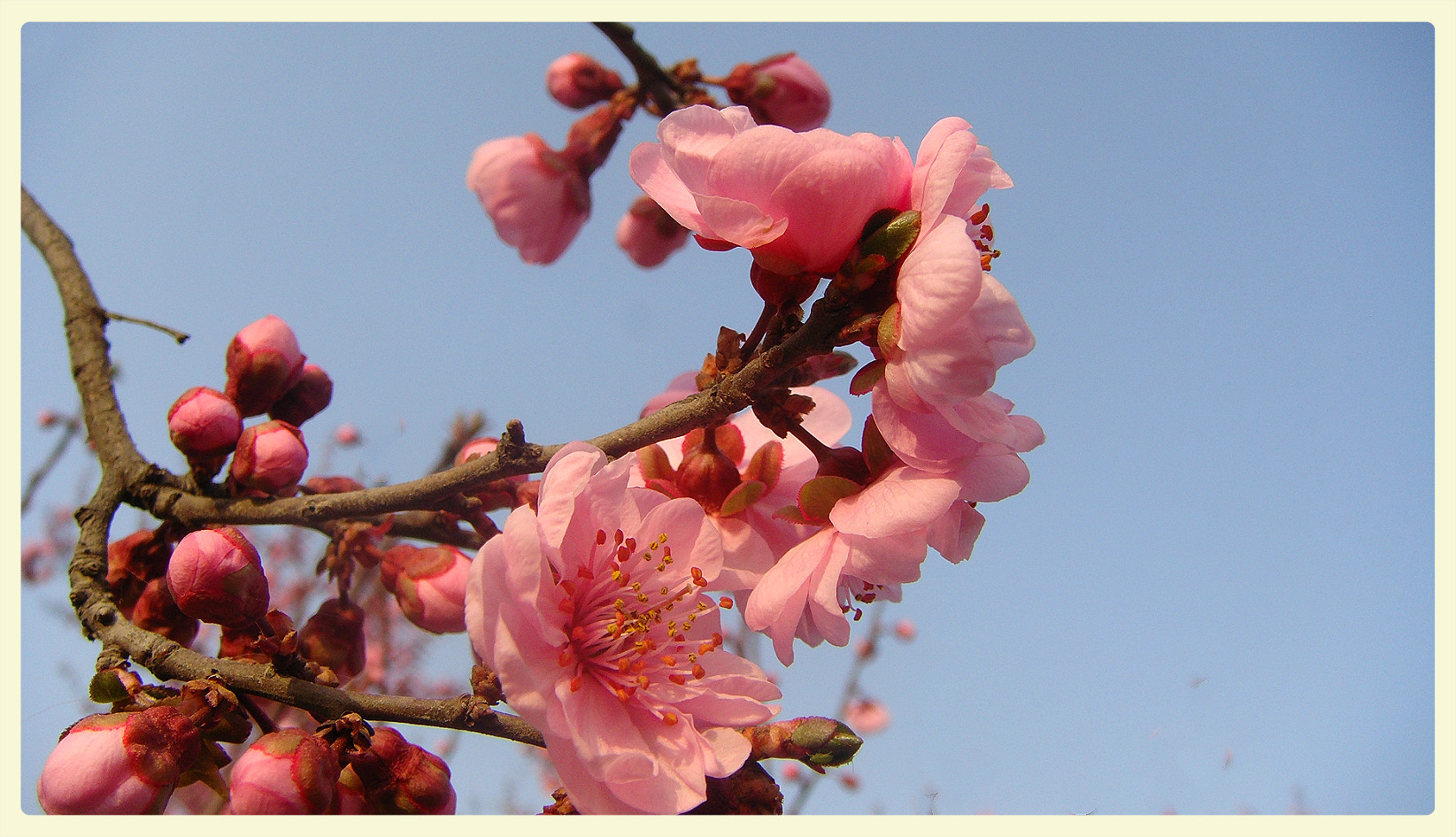 DSC07682_meitu_55.jpg