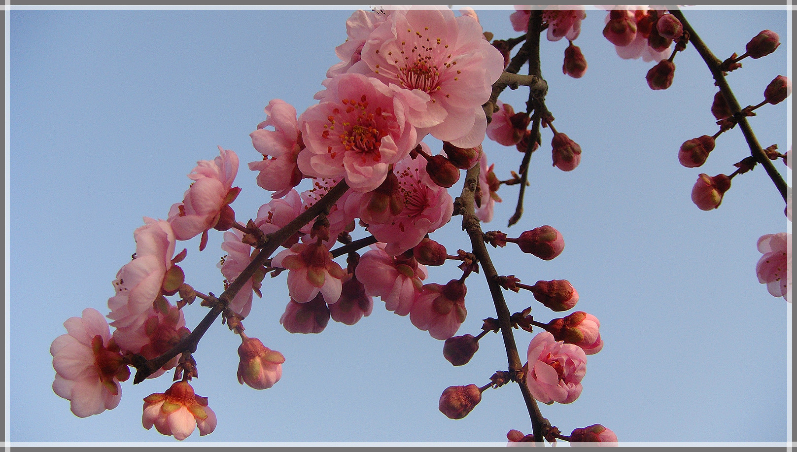DSC07697_meitu_66.jpg