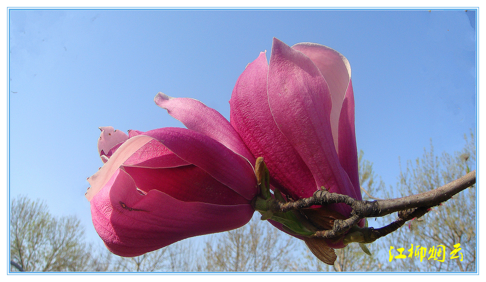 DSC08854_meitu_37.jpg