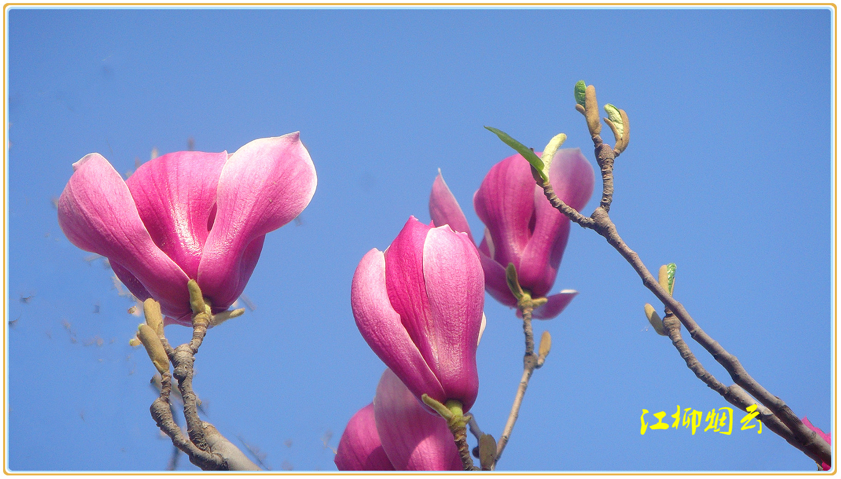 DSC08861_meitu_44.jpg