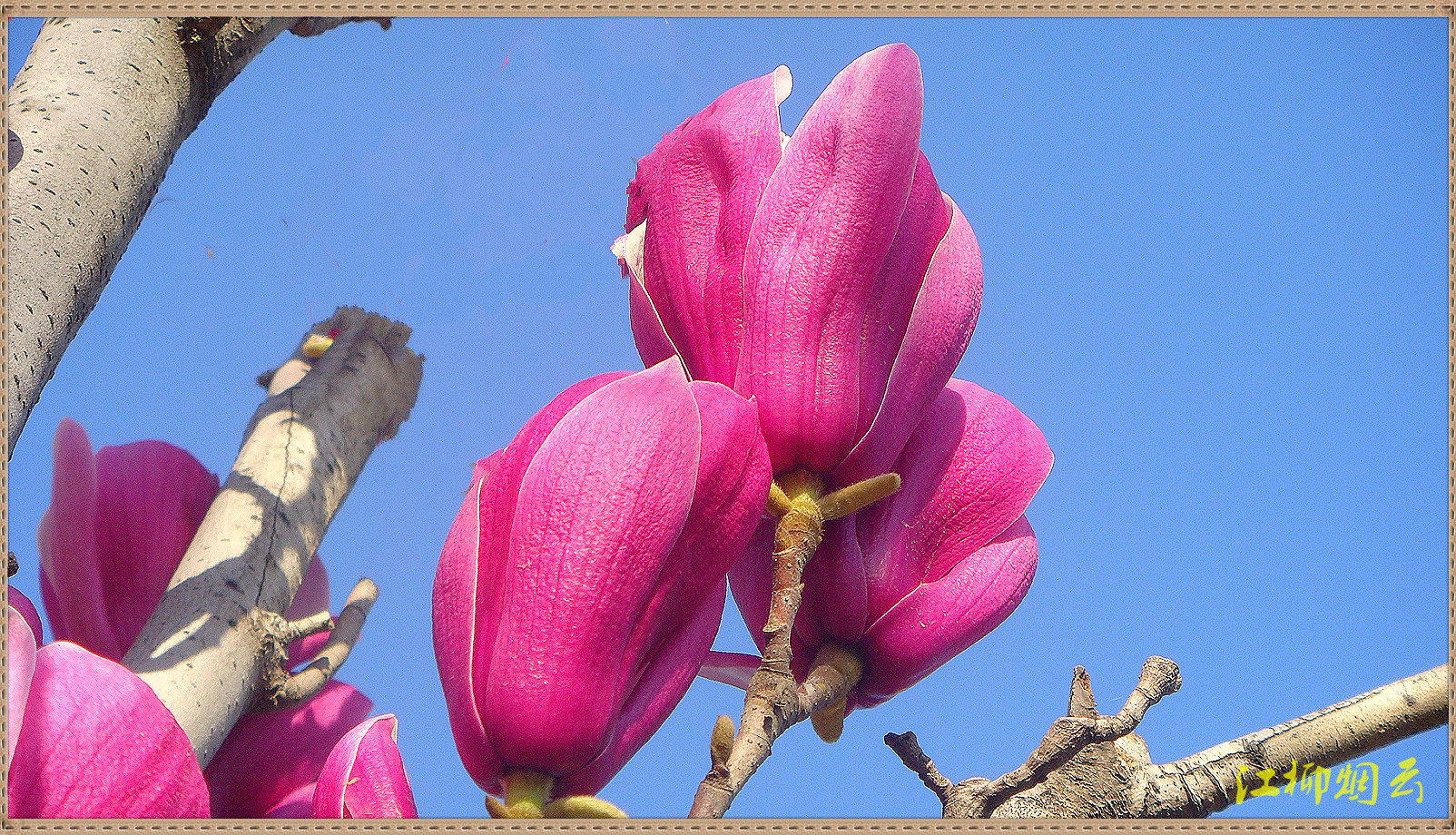 DSC08843_meitu_32.jpg