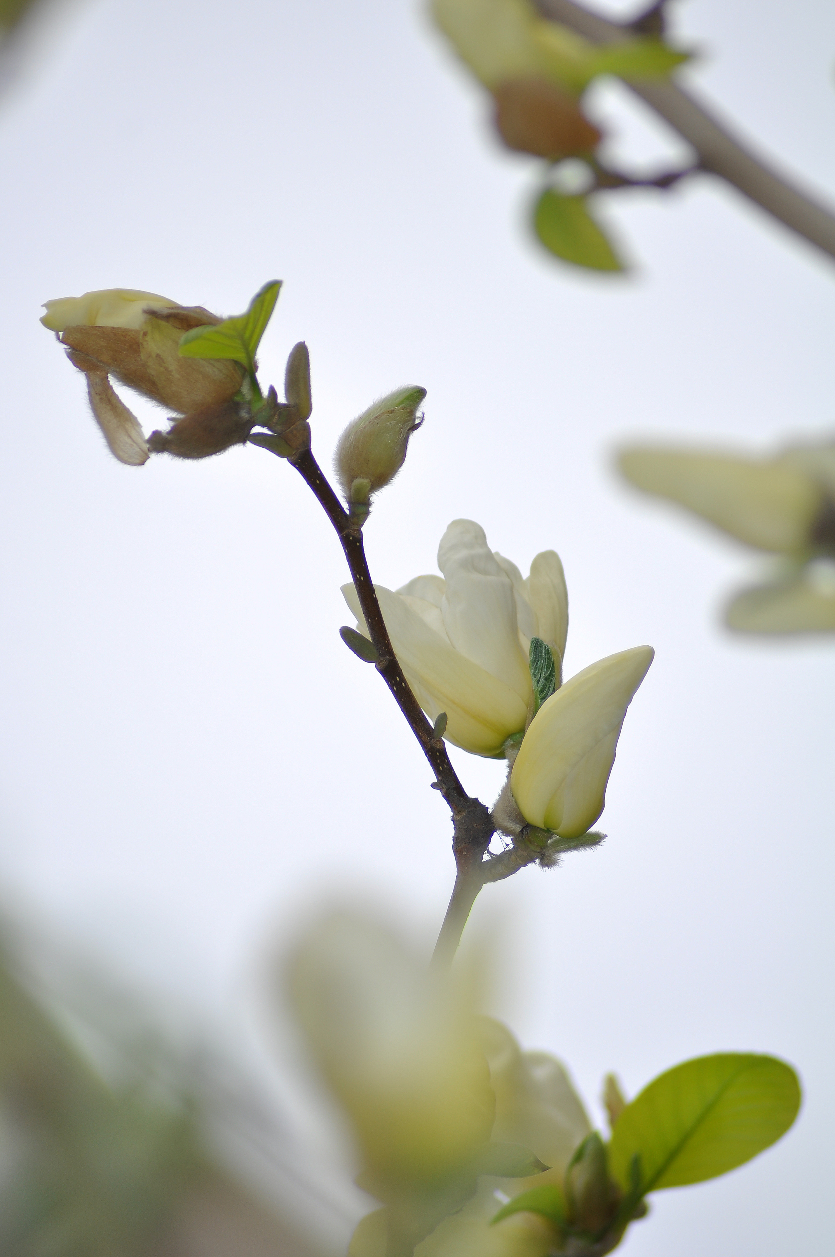 DSC_0042_副本1.jpg