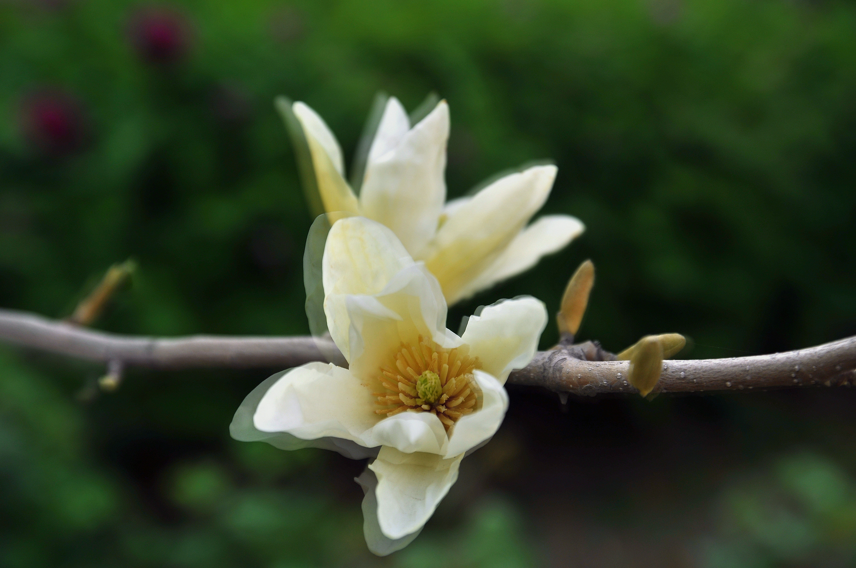 DSC_0006_副本5F.jpg
