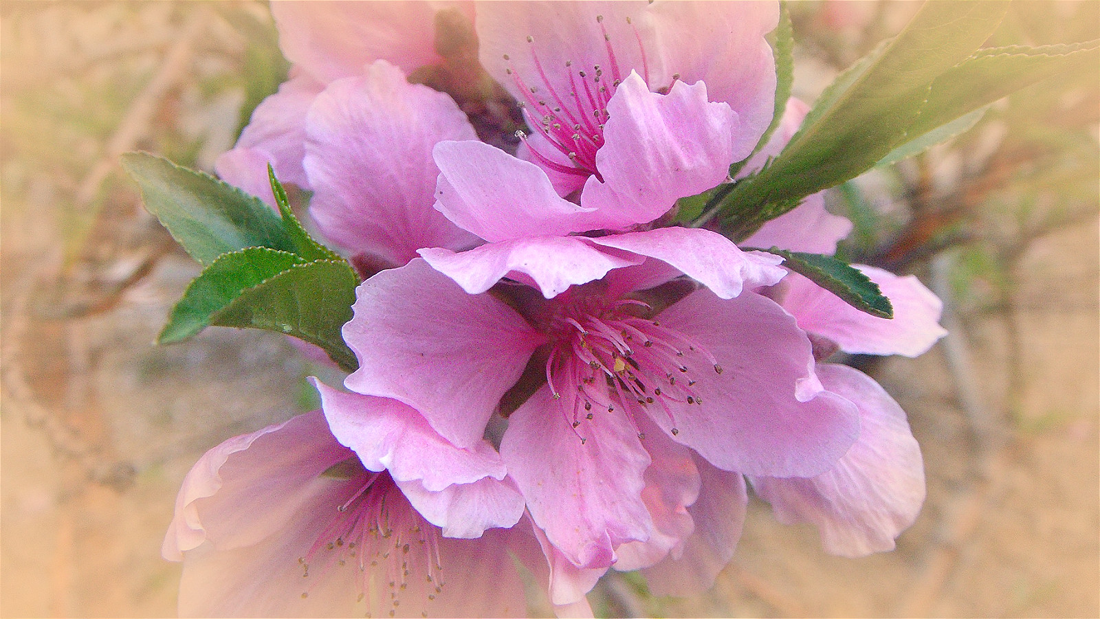 DSC08570_meitu_83.jpg