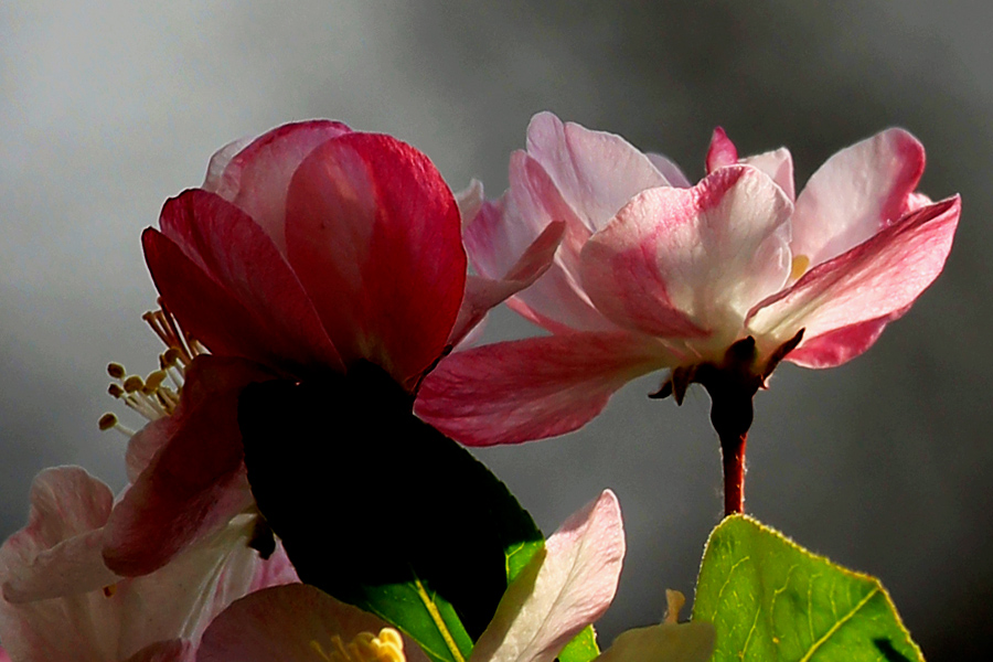 G_6058.jpg