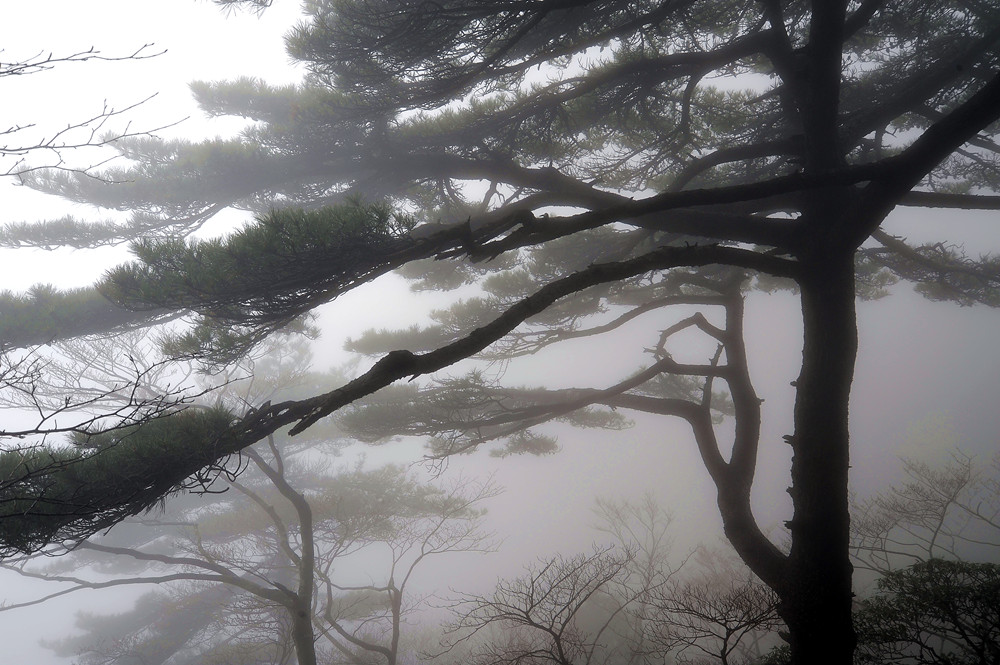 DSC_0285_副本.jpg