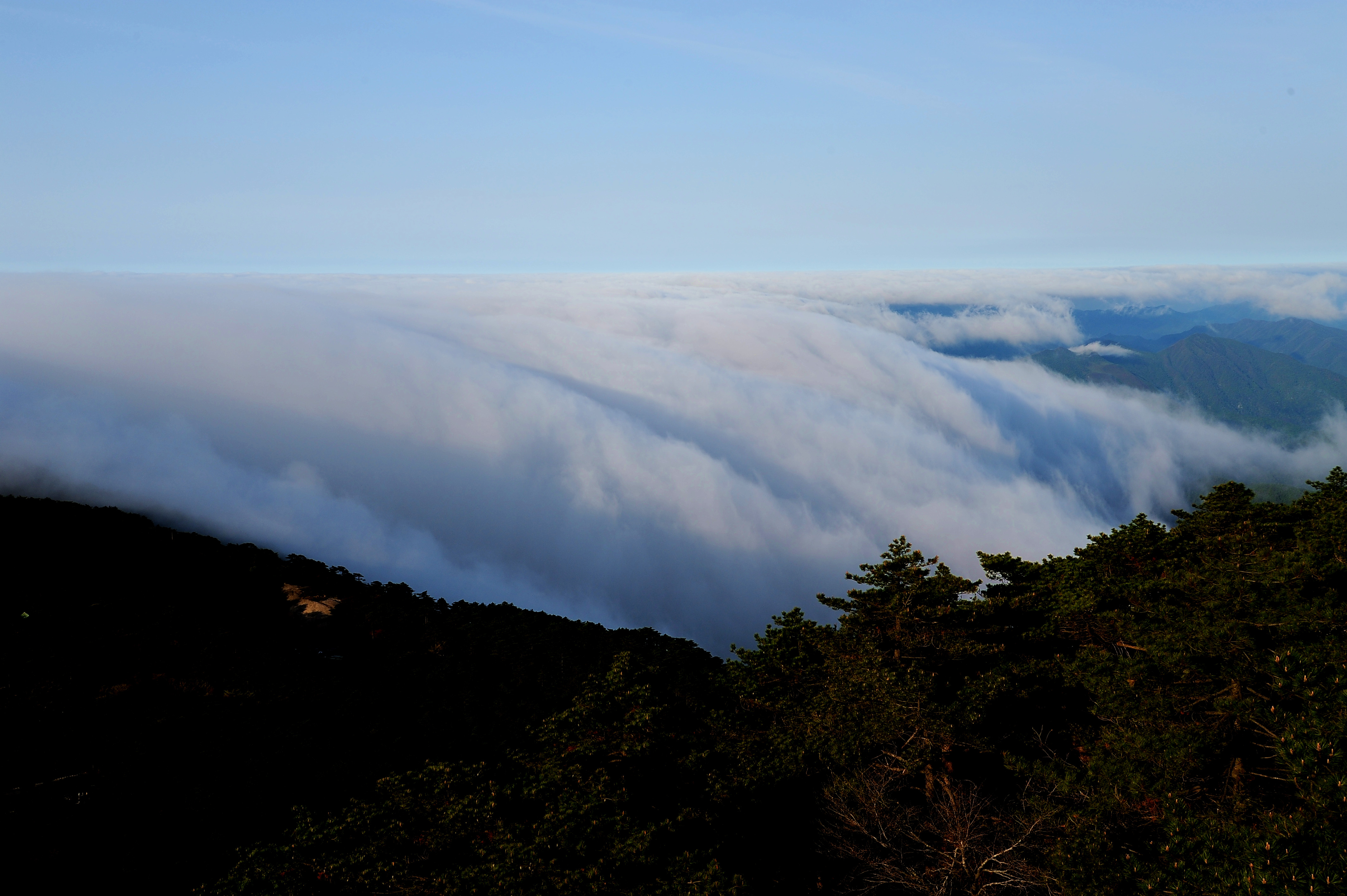 DSC_0568_副本.jpg