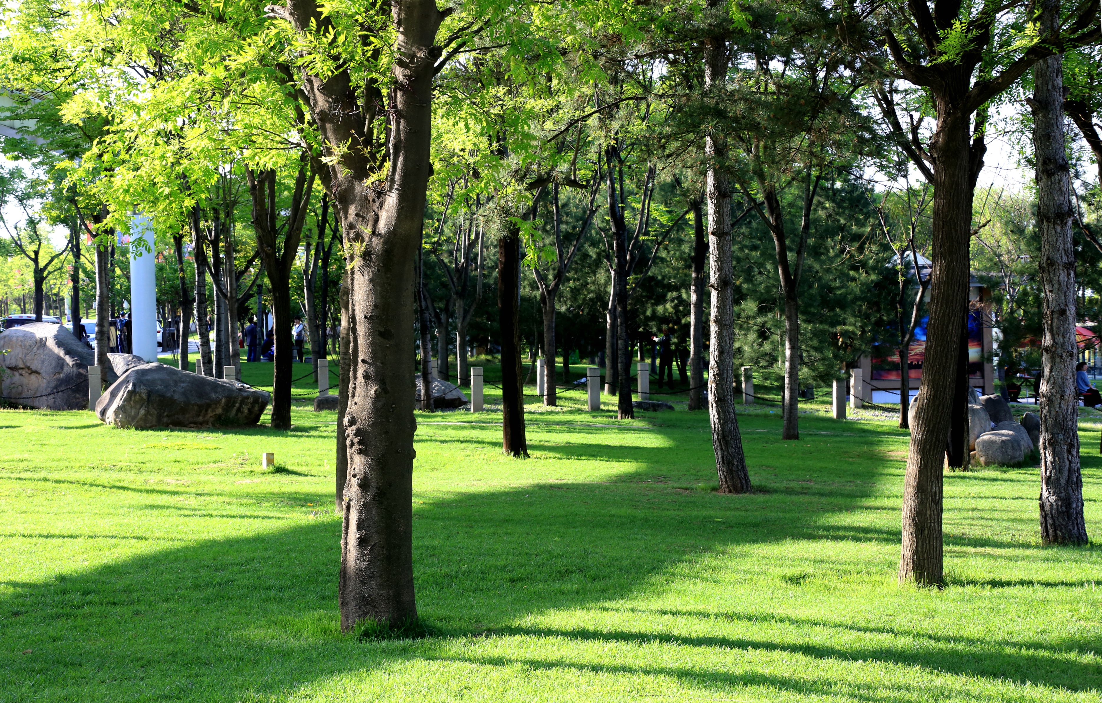 AD5A2660_副本.jpg