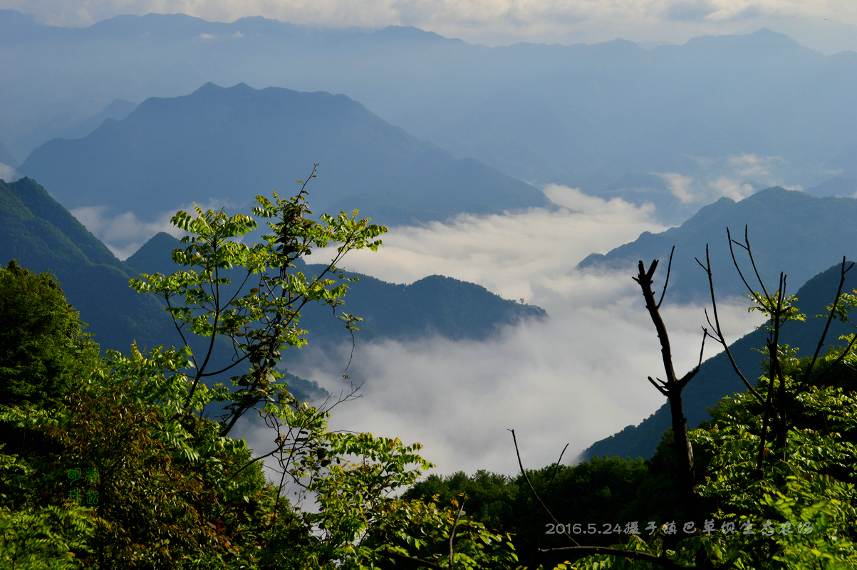 DSC_9438_副本.JPG