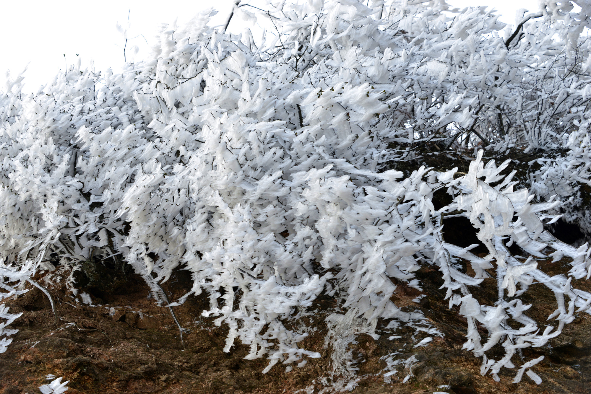 DSC_0311_副本_副本.jpg