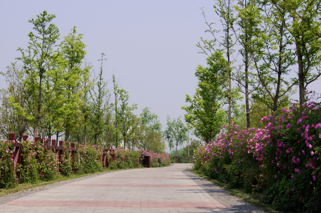 DSC08896_副本.jpg